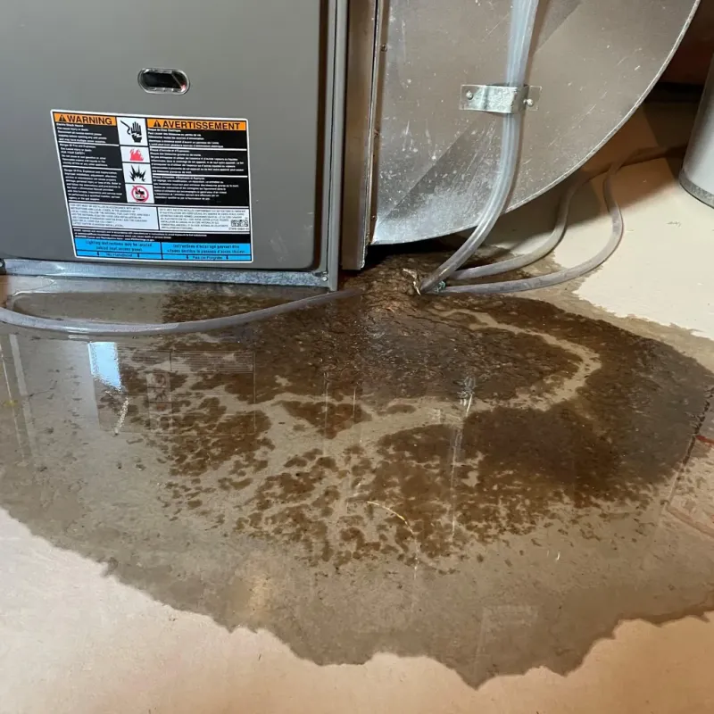 Appliance Leak Cleanup in Jamestown, KY